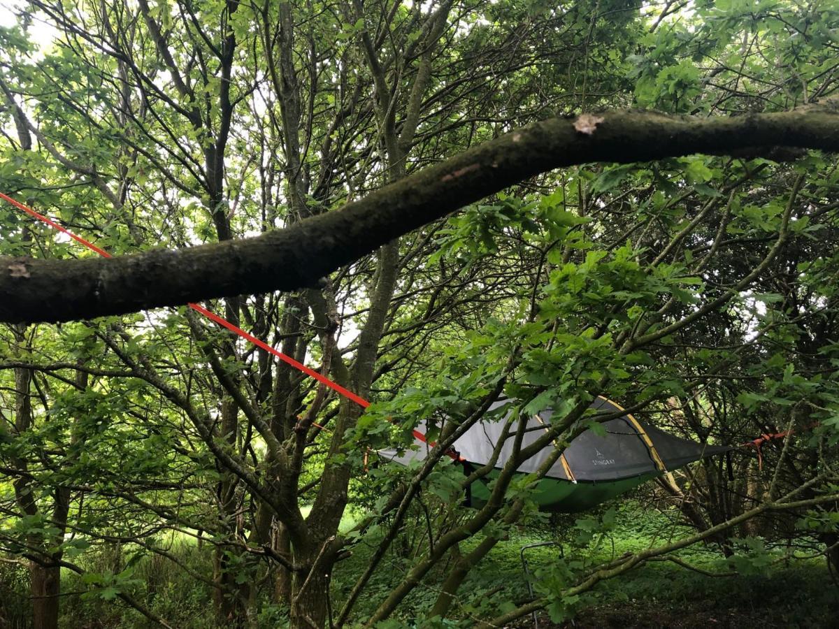 Naturecamp Cuxhaven Bagian luar foto